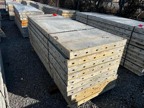 (10) 36" x 9' Doka Frami S Xlife Panels