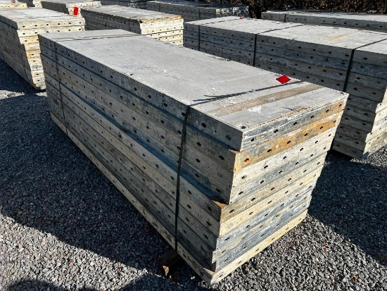 (10) 36" x 9' Doka Frami S Xlife Panels