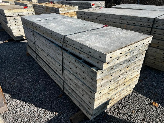 (10) 36" x 9' Doka Frami S Xlife Panels