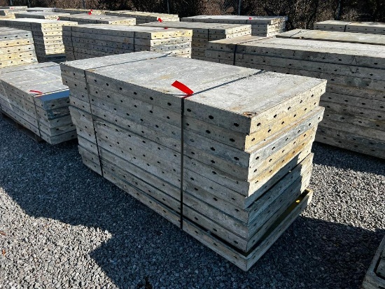 (10) 36" x 6' Doka Frami S Xlife Panels