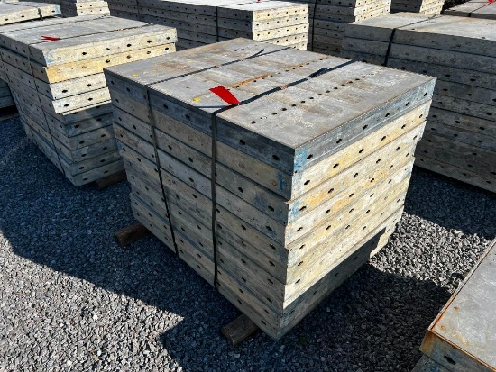 (10) 36" x 4' Doka Frami S Xlife Panels