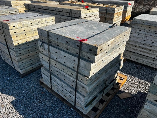 (10) 36" x 3' Doka Frami S Xlife Panels