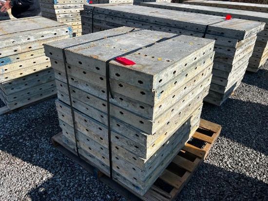 (10) 36" x 3' Doka Frami S Xlife Panels