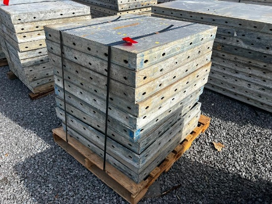 (10) 36" x 3' Doka Frami S Xlife Panels