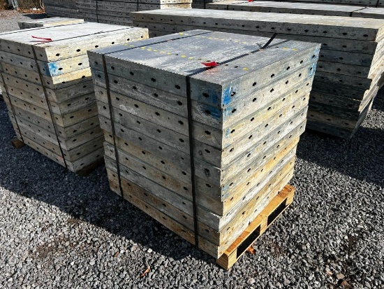(10) 36" x 3' Doka Frami S Xlife Panels