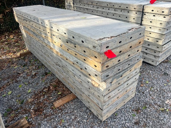 (10) 24" x 9' Doka Frami S Xlife Panels