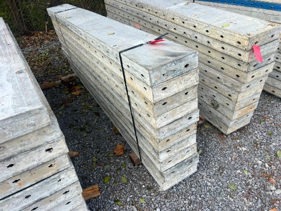 (10) 12" x 9' Doka Frami S Xlife Panels