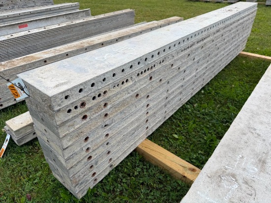 (10) Assorted 9' Smooth Precise/Wall-Ties Aluminum Concrete Forms