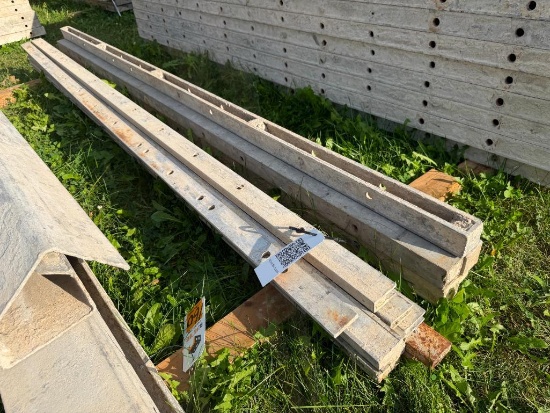 (14) Assorted 8' Smooth, 8-8 Hole Pattern, Precise/Wall-Ties Aluminum Concrete Forms