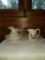 Ceramic Pitcher and Ceramic Pitcher/Basin Combo