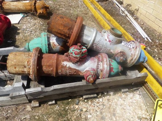 2 FIRE HYDRANTS