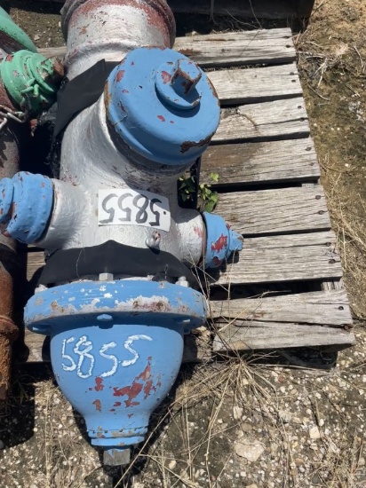 FIRE HYDRANT - BLUE