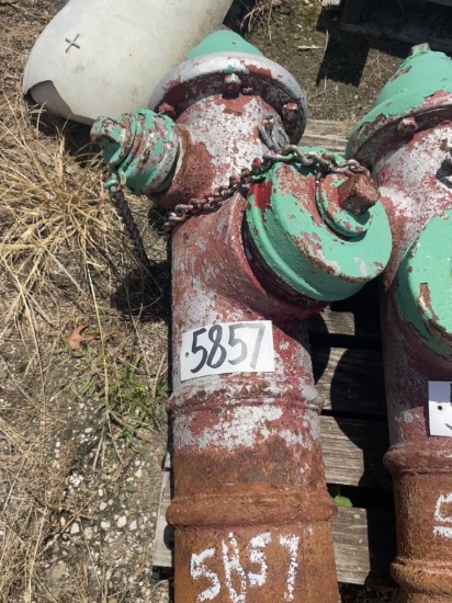 FIRE HYDRANT - GREEN