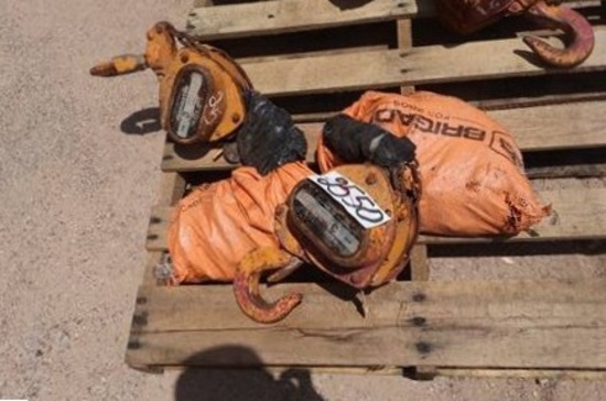 2-3 TON HARRINGTON CHAIN HOIST