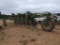 Harrell RR5006 Stump Rake