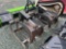 Skidsteer Grapple Rake