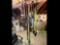 Lift Straps