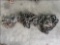 Lot of (3) Chains Grade 70