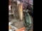 Leaf Blower & Shop Fan