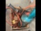 Bosch Angle Grinder & More