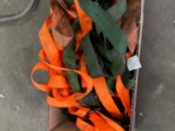 Lot of Ratchet Straps