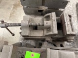 Palm Gren Vise