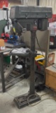 Wilton 16