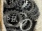 Misc. sprockets