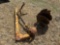 3 pt Auger