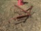 3 pt Cultivator