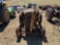 Unknown Tractor