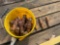 Bucket of Ditch Witch Rock Teeth