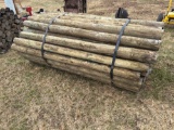 TREATED POSTS 4â€-5â€ x 7 1/2â€™ -60 Per Bundle