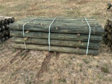 TREATED POST  6â€ X 8â€™ -28 Per Bundle