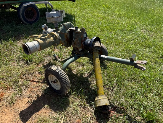 Caprari 4â€ Water Pump