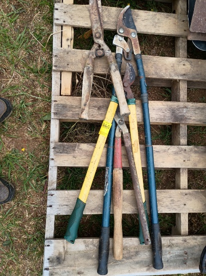 Lot of clippers and pruners