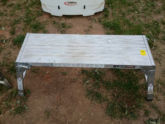 Gorilla Platform Ladder