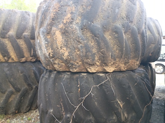 Lot of 2 Skidder Tires With Rim