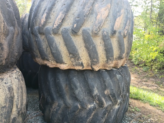 Lot of 2 Skidder Tires With Rim
