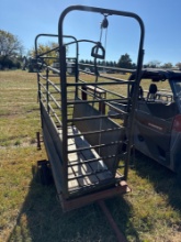 Calf Trailer