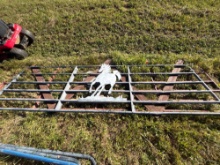 Lot of two 14' gates with horse designs