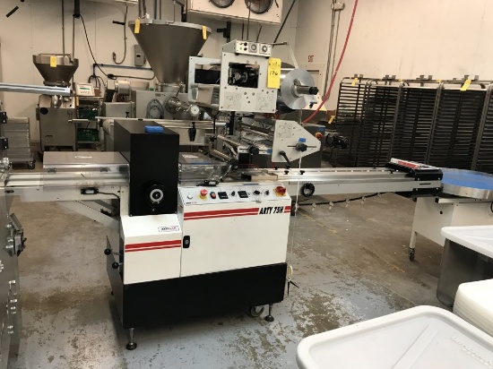 ARTYPAC MODEL ARTY 75H AUTOMATED HIGH SPEED HORIZONTAL FLOW WRAPPER,