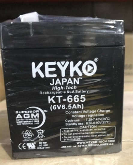 LOT CONSISTING OF 620 KEYKO BATTERIES