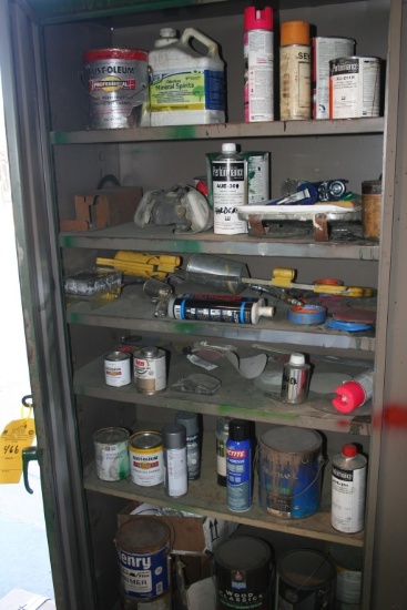 PAINT CABINET WITH CONTENTS
