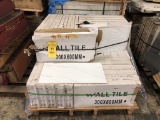 LOT CONSISTING OF: PORCELAIN WALL TILE