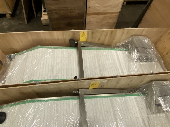 MOTORIZED INCLINE CONVEYOR (NEW IN BOX)