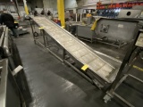 MOTORIZED INCLINE CONVEYOR