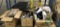 LOT ASSORTED OFFICE SUPPLIES