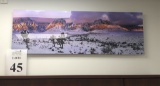 ART PIECE/PHOTO DEPICTING SNOWY DESERT SCENE