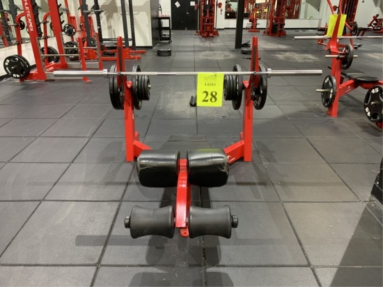 FREEMOTION BENCH PRESS WITH (8) WEIGHT PLATES